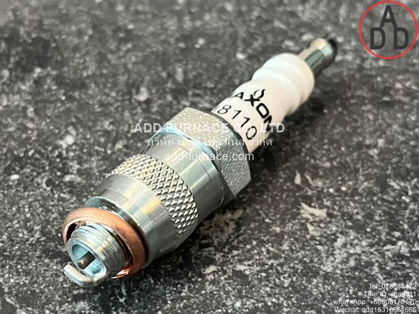 Maxon 18110(2)